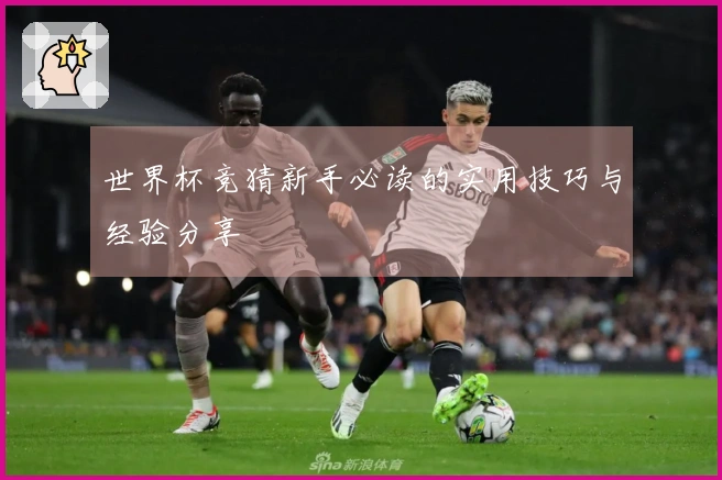 世界杯竞猜新手必读的实用技巧与经验分享