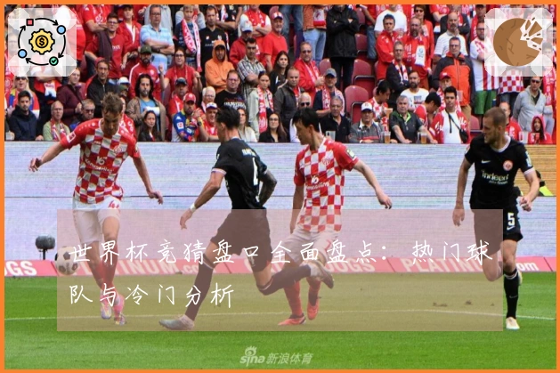 世界杯竞猜盘口全面盘点：热门球队与冷门分析