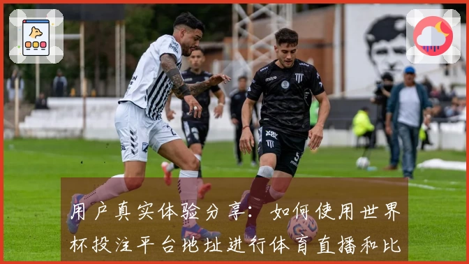用户真实体验分享：如何使用世界杯投注平台地址进行体育直播和比赛观看