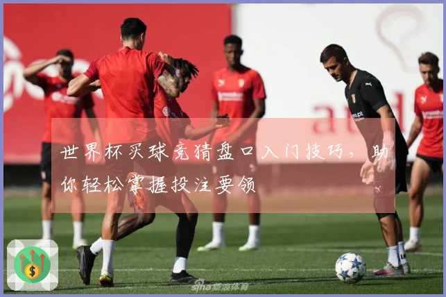 世界杯买球竞猜盘口入门技巧，助你轻松掌握投注要领
