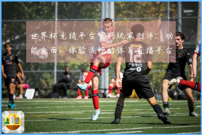 世界杯竞猜平台官网玩家测评：功能全面，体验流畅的体育直播平台介绍