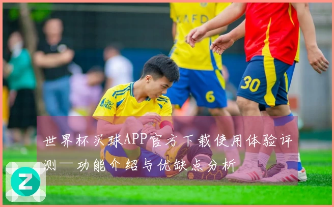 世界杯买球APP官方下载使用体验评测—功能介绍与优缺点分析