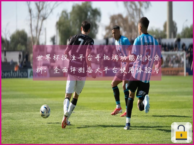 世界杯投注平台手机端功能对比分析：全面评测各大平台使用体验与优势