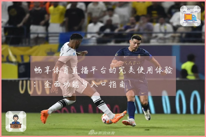 畅享体育直播平台的完美使用体验：全面功能与入口指南