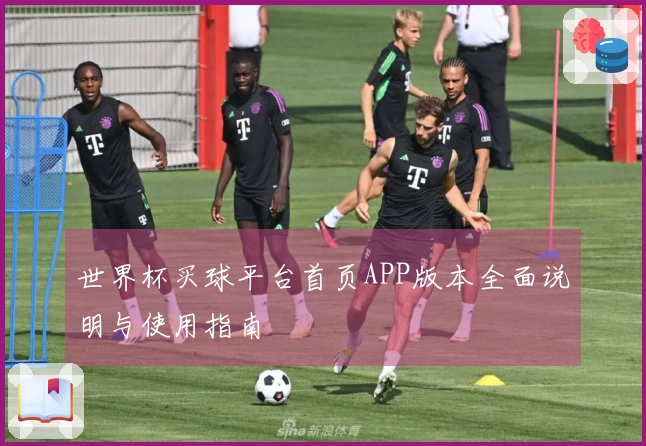 世界杯买球平台首页APP版本全面说明与使用指南