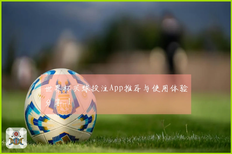 世界杯买球投注App推荐与使用体验分享_1