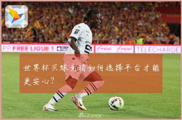 世界杯买球竞猜如何选择平台才能更安心？