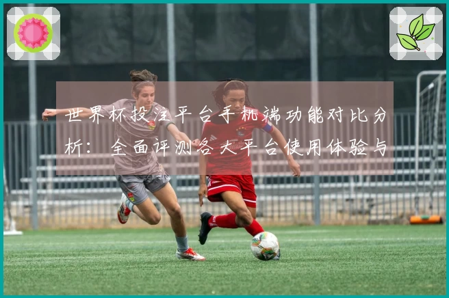 世界杯投注平台手机端功能对比分析：全面评测各大平台使用体验与优势