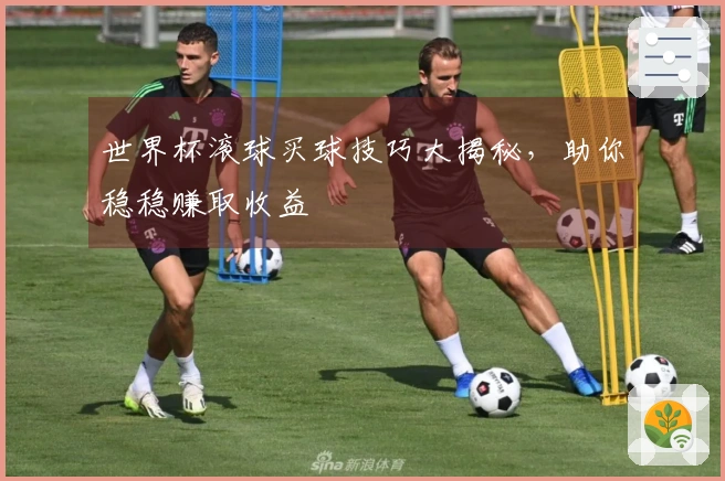 世界杯滚球买球技巧大揭秘，助你稳稳赚取收益