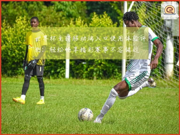 世界杯竞猜移动端入口使用体验评测:轻松畅享精彩赛事不容错过
