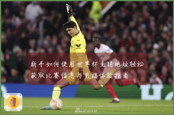 新手如何使用世界杯竞猜地址轻松获取比赛信息与直播体验指南